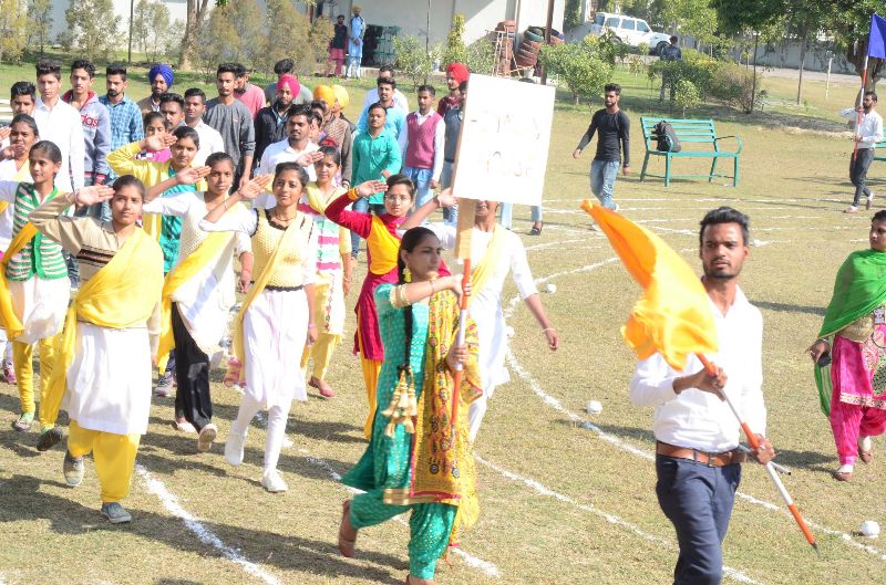 dsc-203-2000×1324-800×529