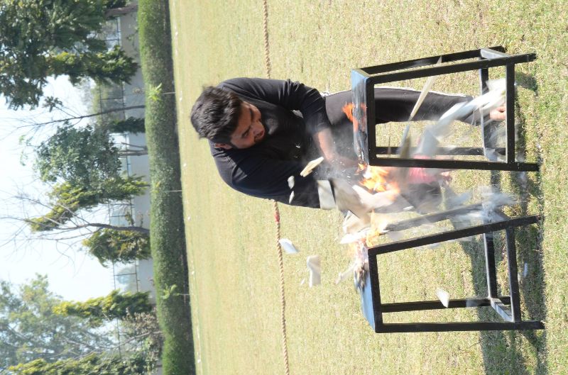 dsc-413-2000×1324-800×529